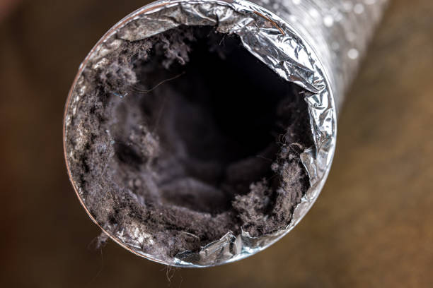 Best Best Air Duct Cleaning Company  in Woodsi East, DE